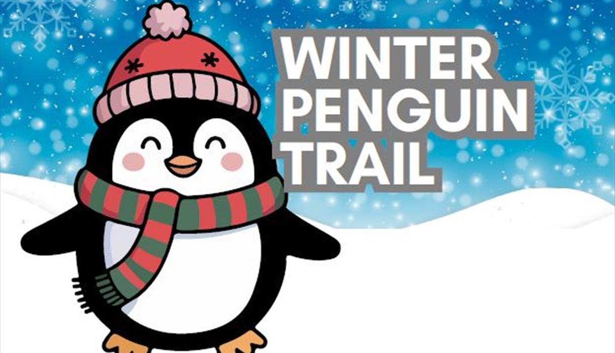 Winter Penguin Trail