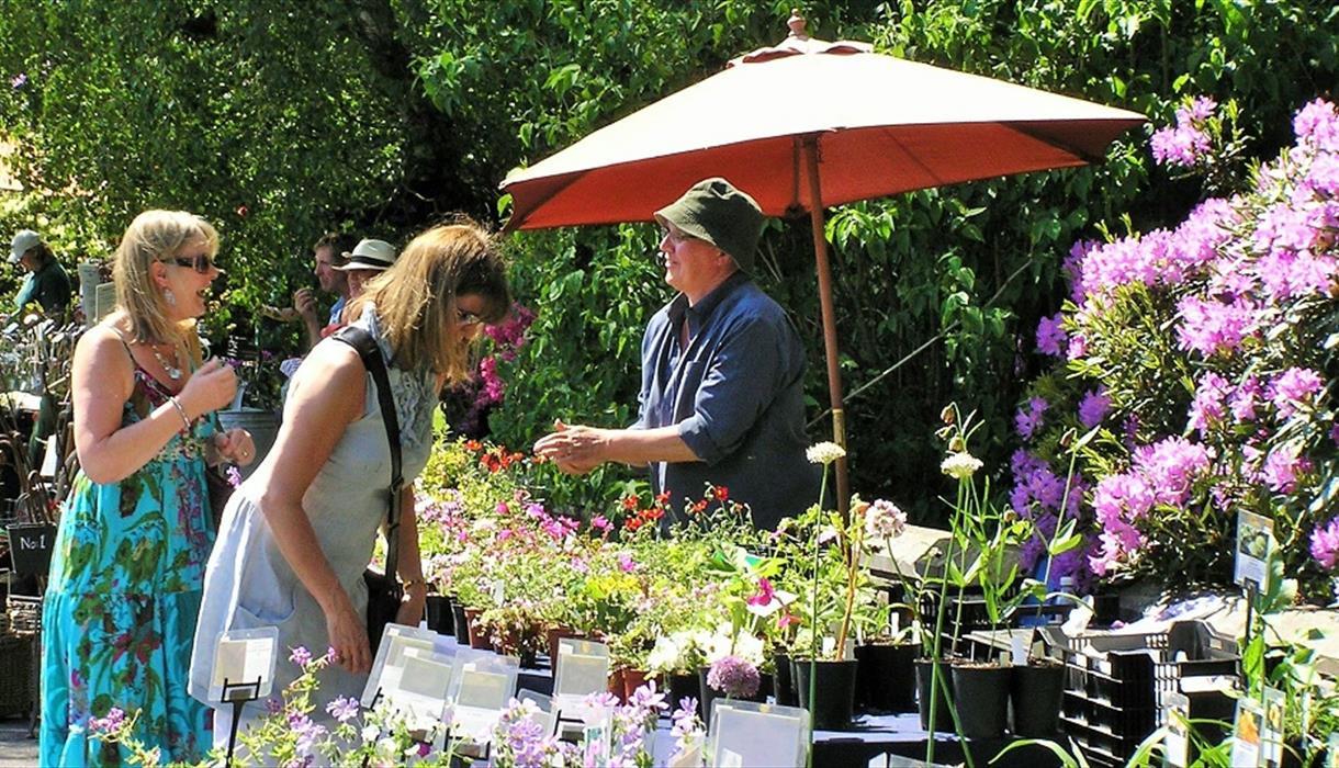 Plant Hunters Fair Special Fundraising Event Visit Stoke