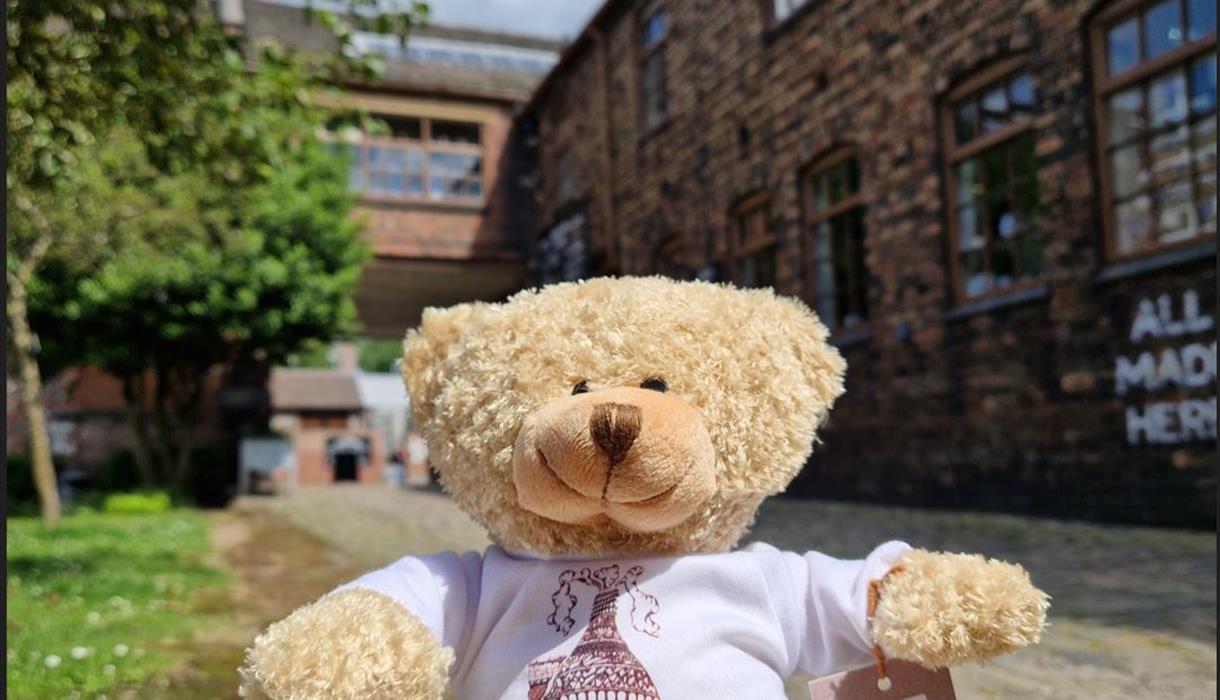 The Middleport Bear's Summer Trail