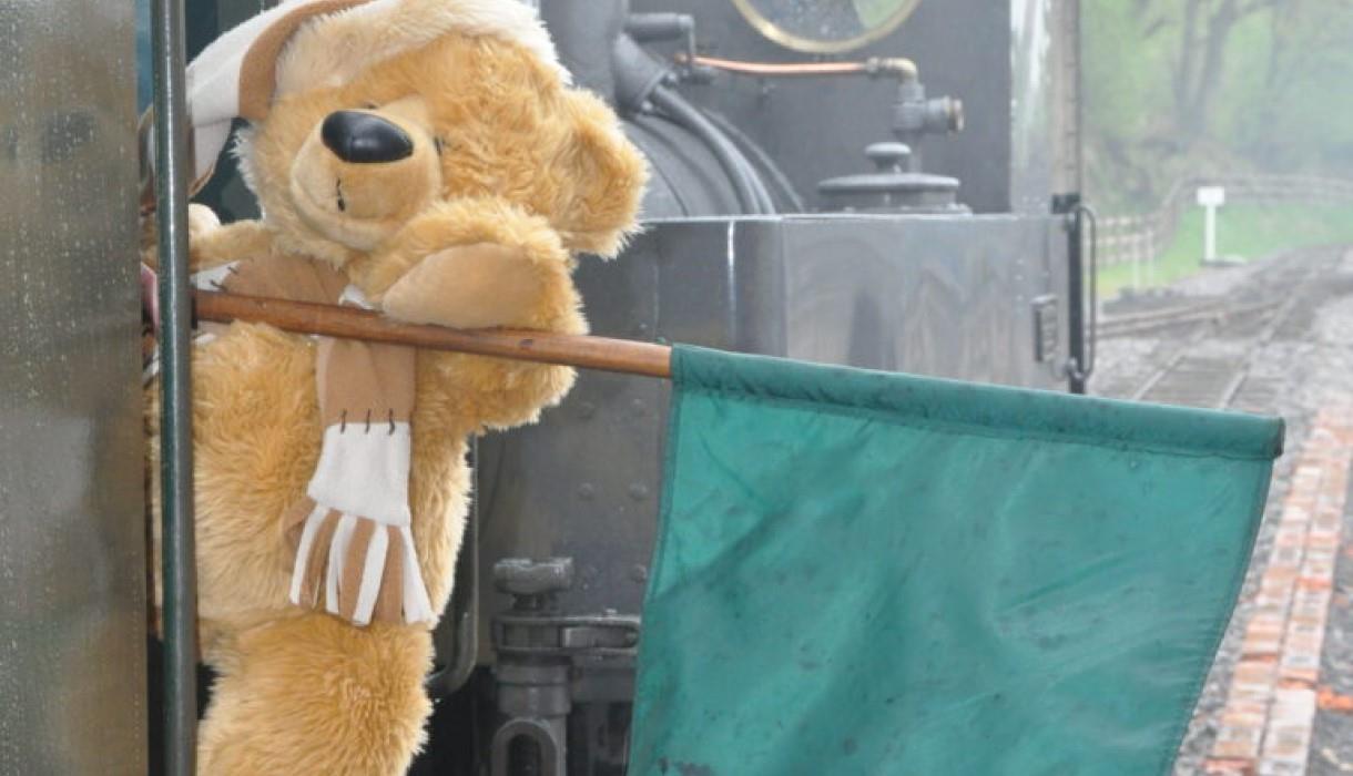 Teddy Bear Outing