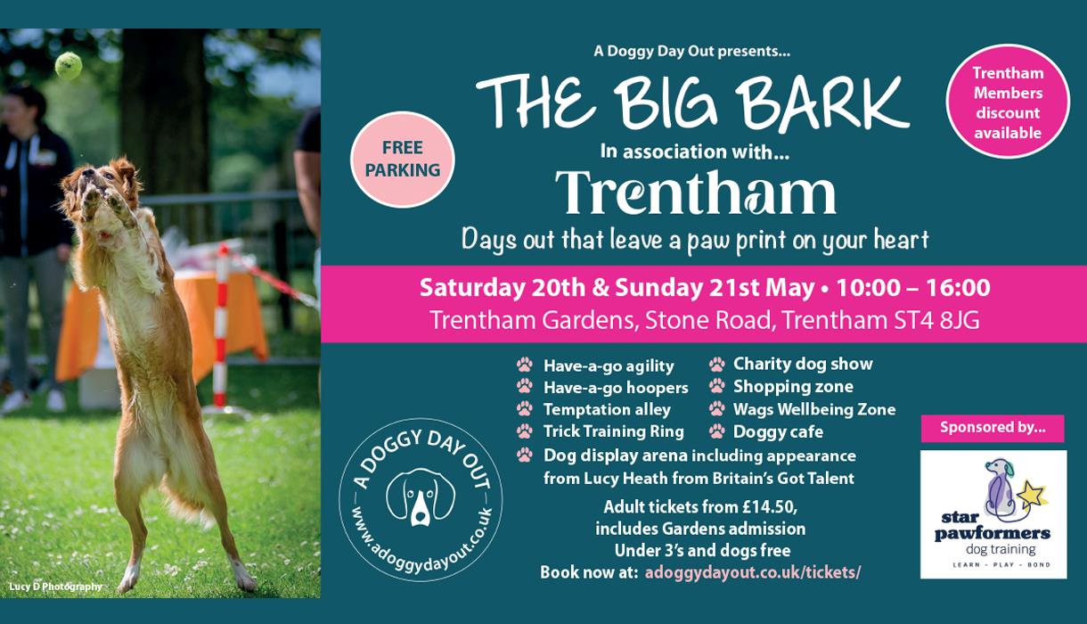 The Big Bark In The Park Visit Stoke