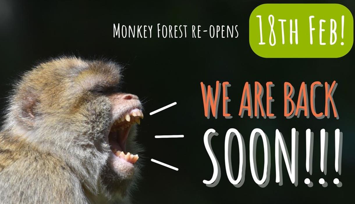 Monkey Forest re-opens for 2023 season!