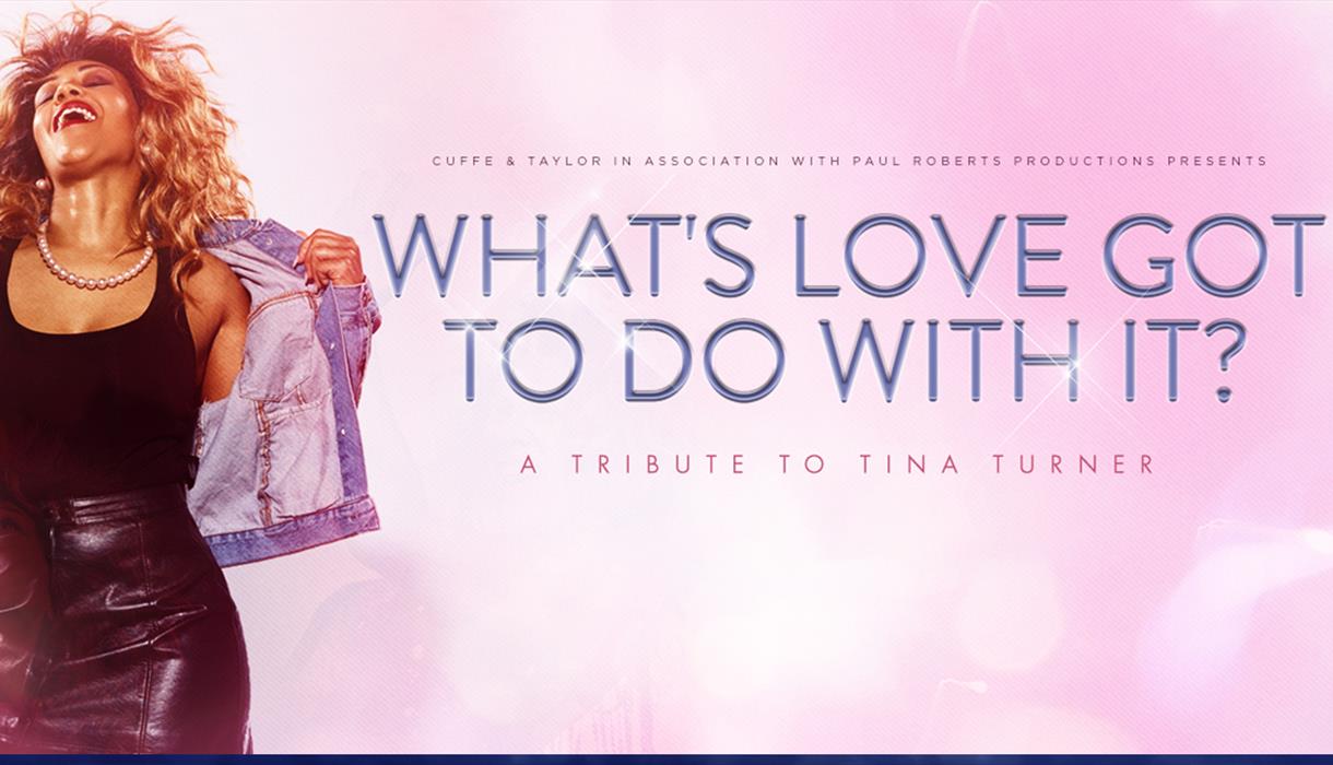 What's Love Got To Do With It? A Tribute To Tina Turner