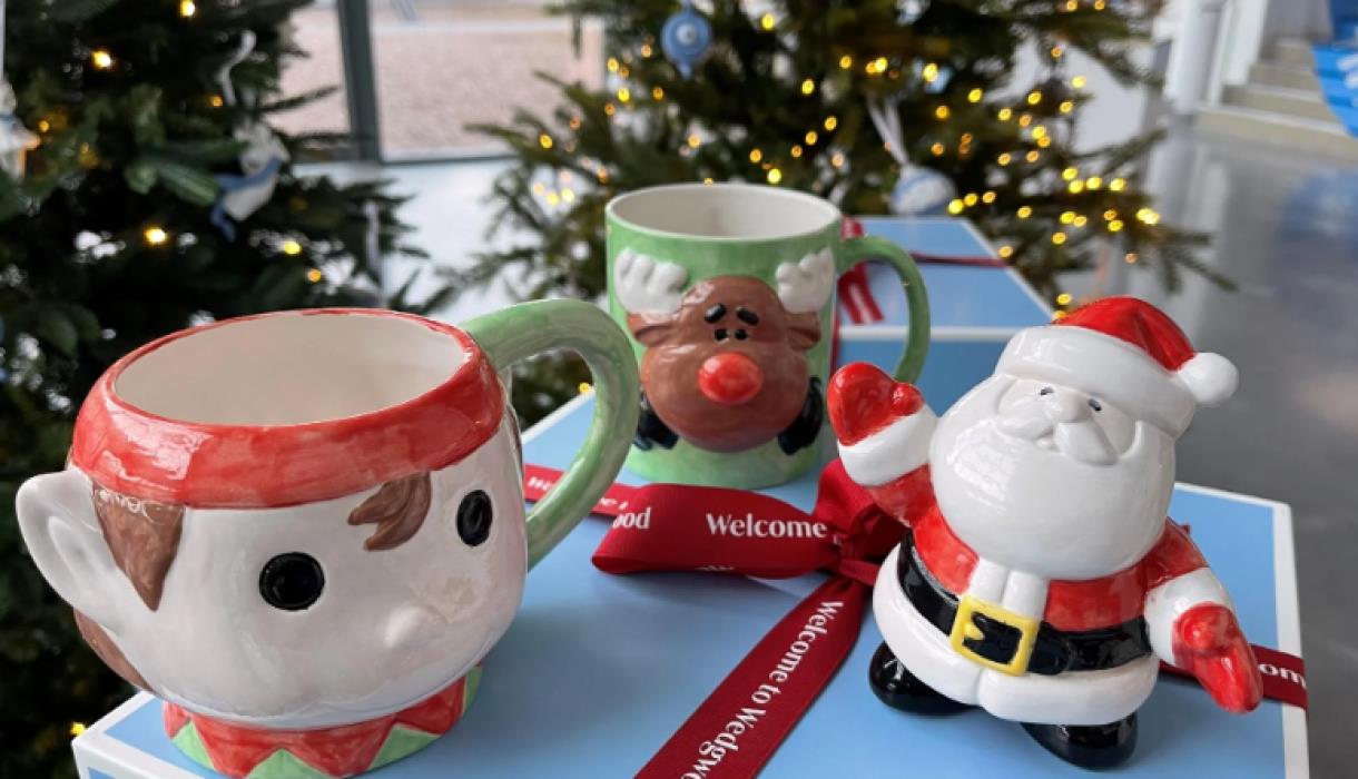 Festive Pottery Painting and Glazing