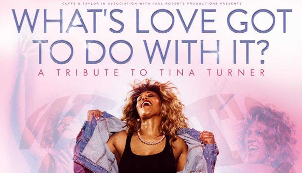 What's Love Got to do With It? A Tribute to Tina Turner