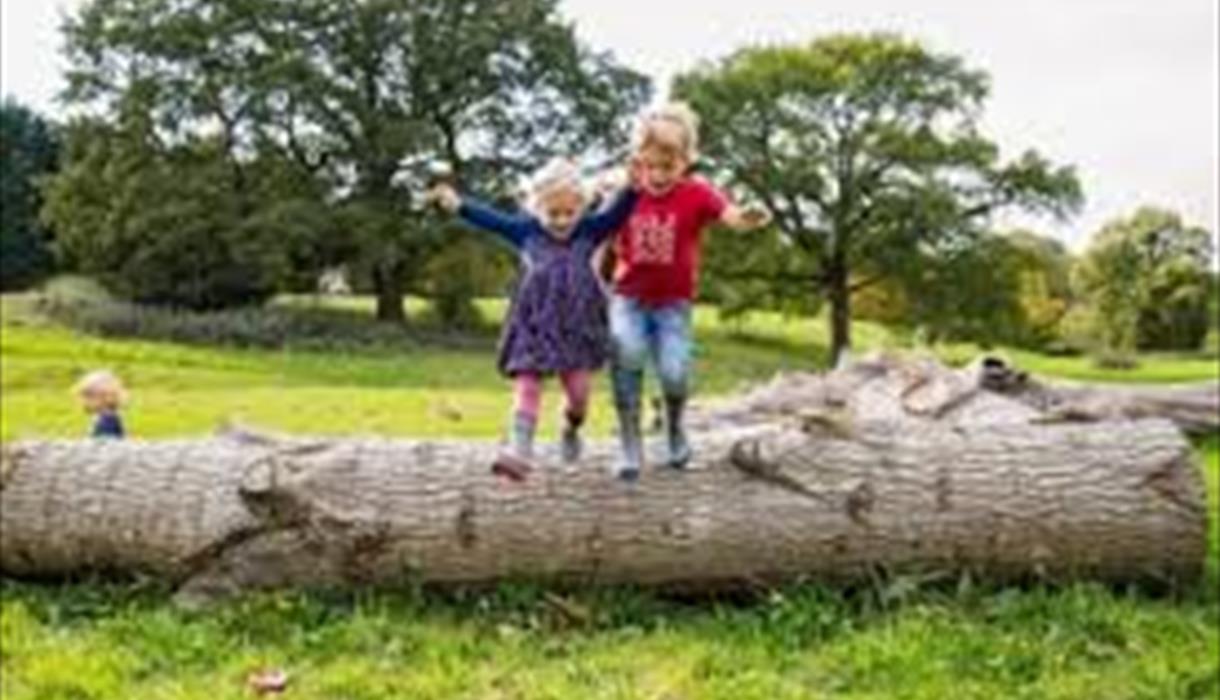 Wildings at Hem Heath Woods
