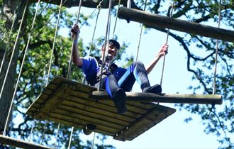 Trentham Treetop Adventures