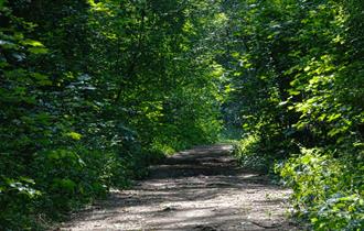 Hem Heath Woods, photo by Peter Thomas