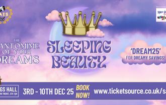 Sleeping Beauty: The Pantomime of Your Dreams