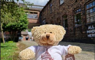 The Middleport Bear's Summer Trail