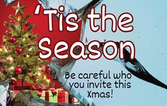 THEATRE NIGHTS - 'Tis the Season – A Christmas Comedy