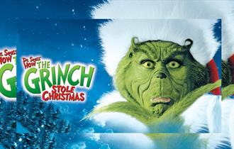 The Grinch who stole Christmas