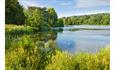 The Trentham Lake