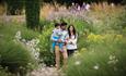 Family walking amongst the flowers in the gardens at the Trentham Estate.