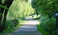 Paths around Westport Lake