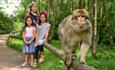 Trentham Monkey Forest