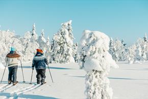 Discover Arctic Lakeland with TUI!