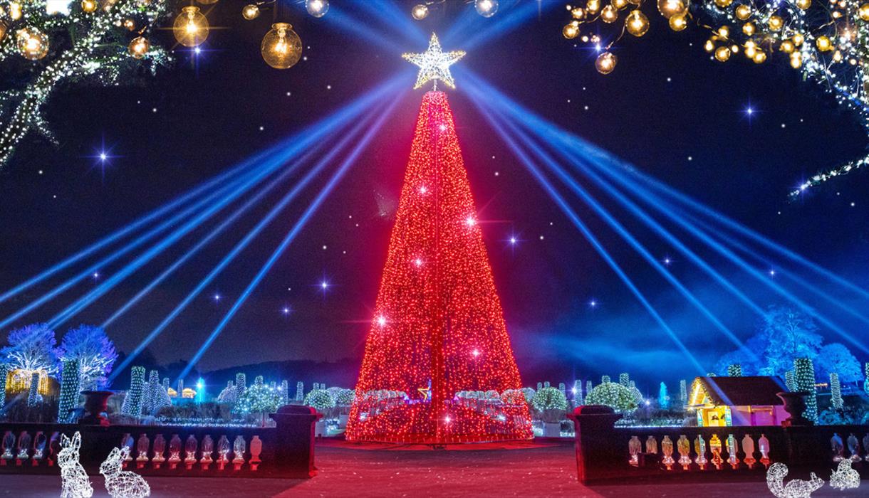 The illuminated Christmas tree is the stunning centrepiece of Christmas at Trentham, Staffordshire