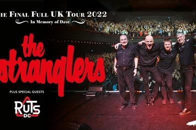 The Stranglers at the Victoria Hall