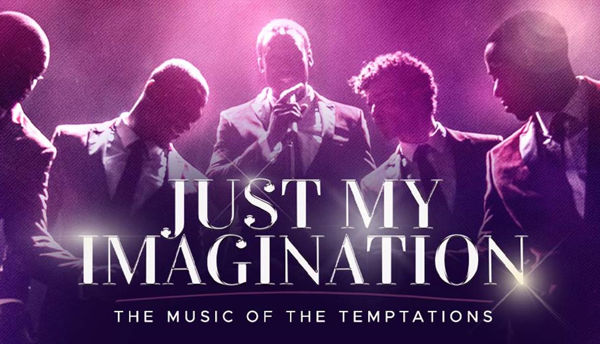 Just My Imagination - the Music of The Temptations