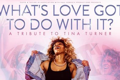 What's Love Got to do With It? A Tribute to Tina Turner