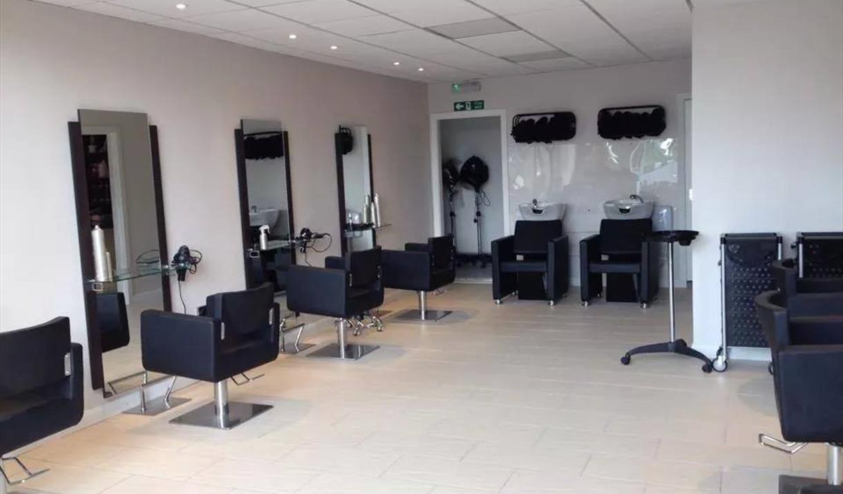 The David Company Hairdressing