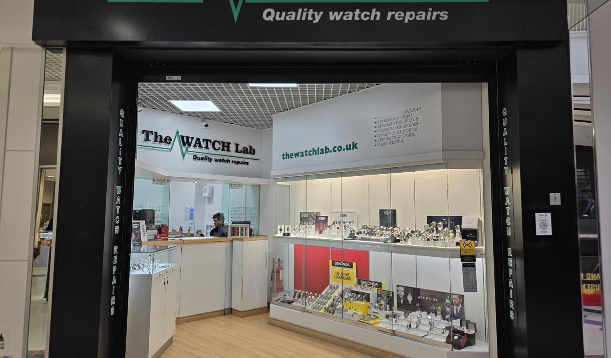 The Watch Lab