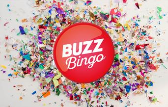 BUZZ! Bingo