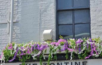 The Tontine