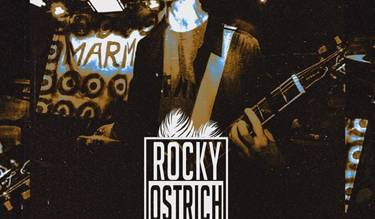 Rocky Ostrich