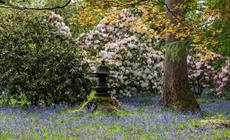 Thumbnail for Spring Inspiration