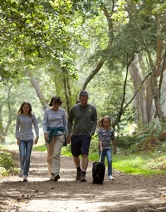 Head out for a walk