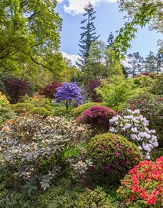 Visit Surrey: The official tourism website for Surrey