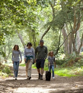 Head out for a walk