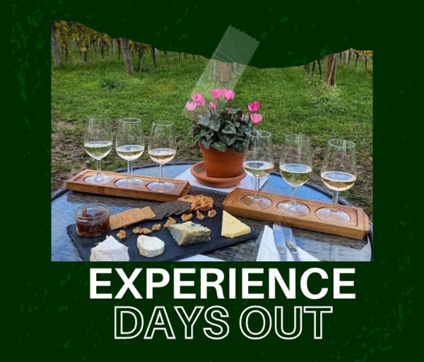 Thumbnail for Surrey Experience Days