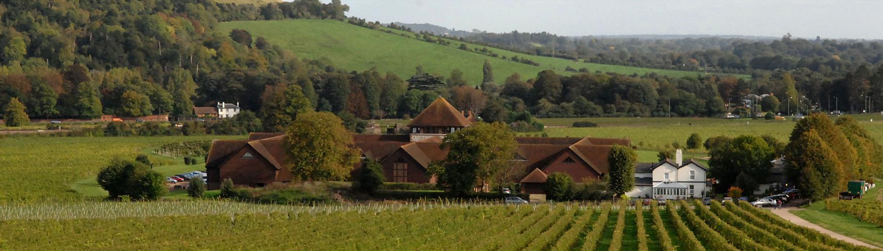 Denbies Wine Estate