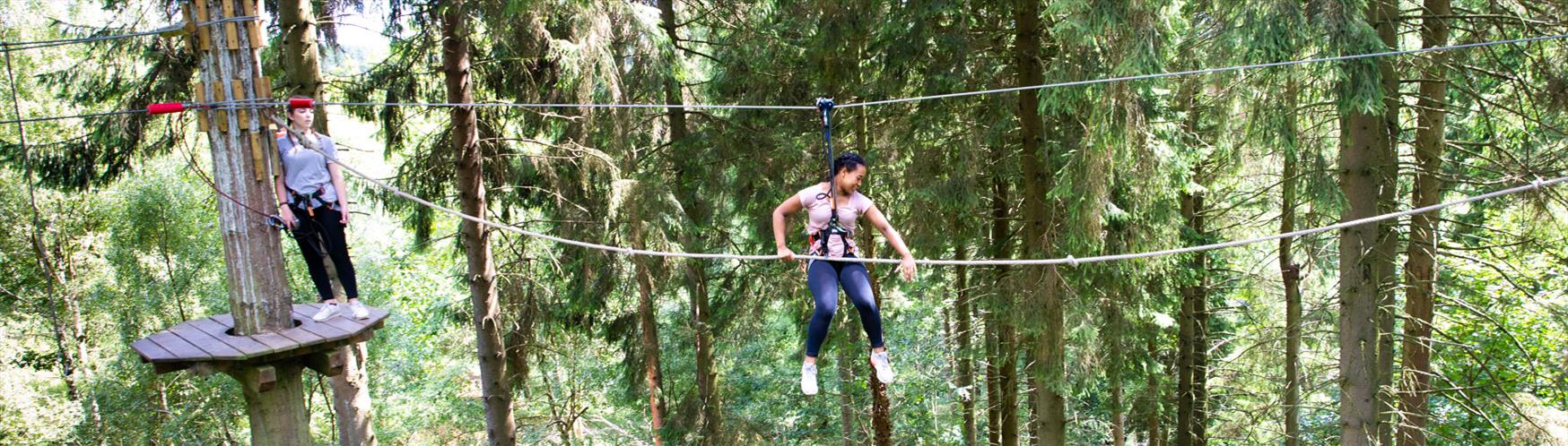 Go Ape