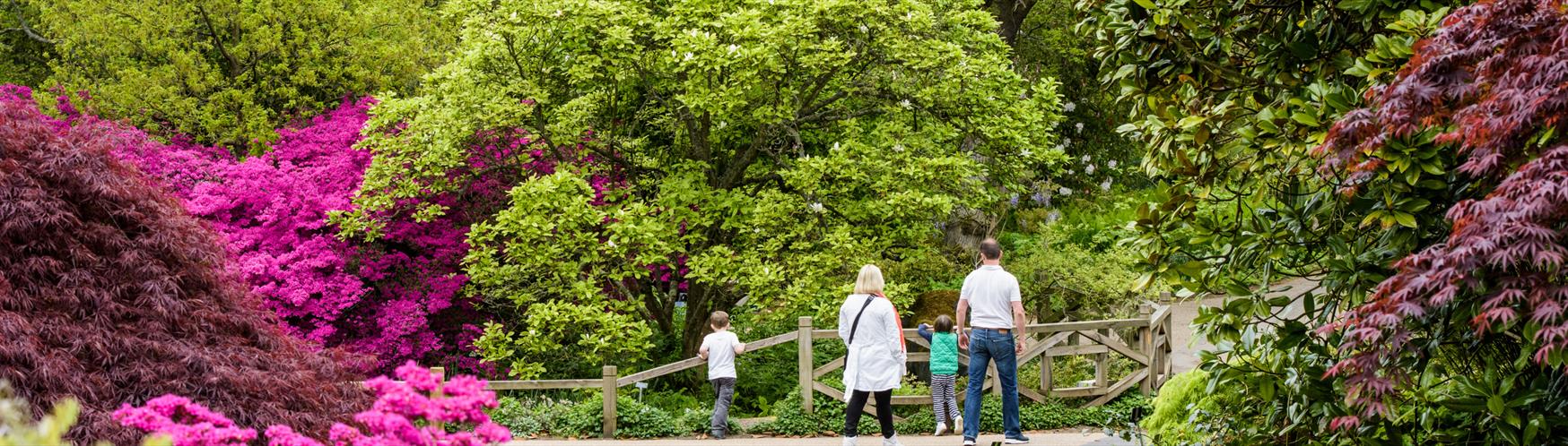 Explore glorious gardens