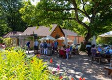 The Tea Shop at Watts Gallery Artists' Village