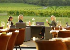 Afternoon Tea at Denbies Wine Estate