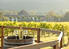 One Day Wine Workshop