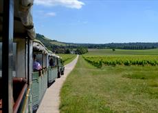 Denbies Sparkling Train Tour & Afternoon Tea Hamper on the Lawn