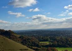 Reigate Hill