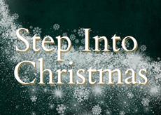 Christmas at Denbies