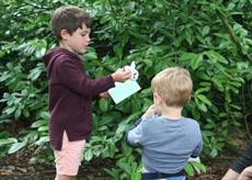 Follow the trail around the gardens
