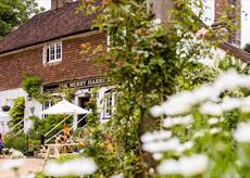 The Merry Harriers in Hambledon, Surrey
