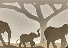 Papercut Lightbox