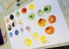 Ink swatches on a piece of paper