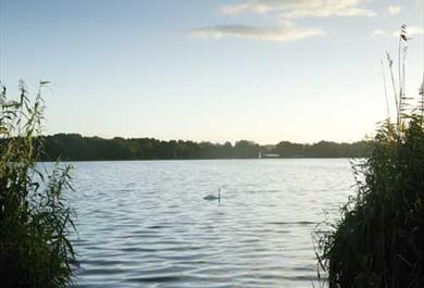 Frensham Ponds