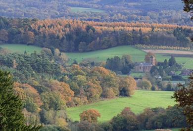 Newlands Corner Copy right John Miller